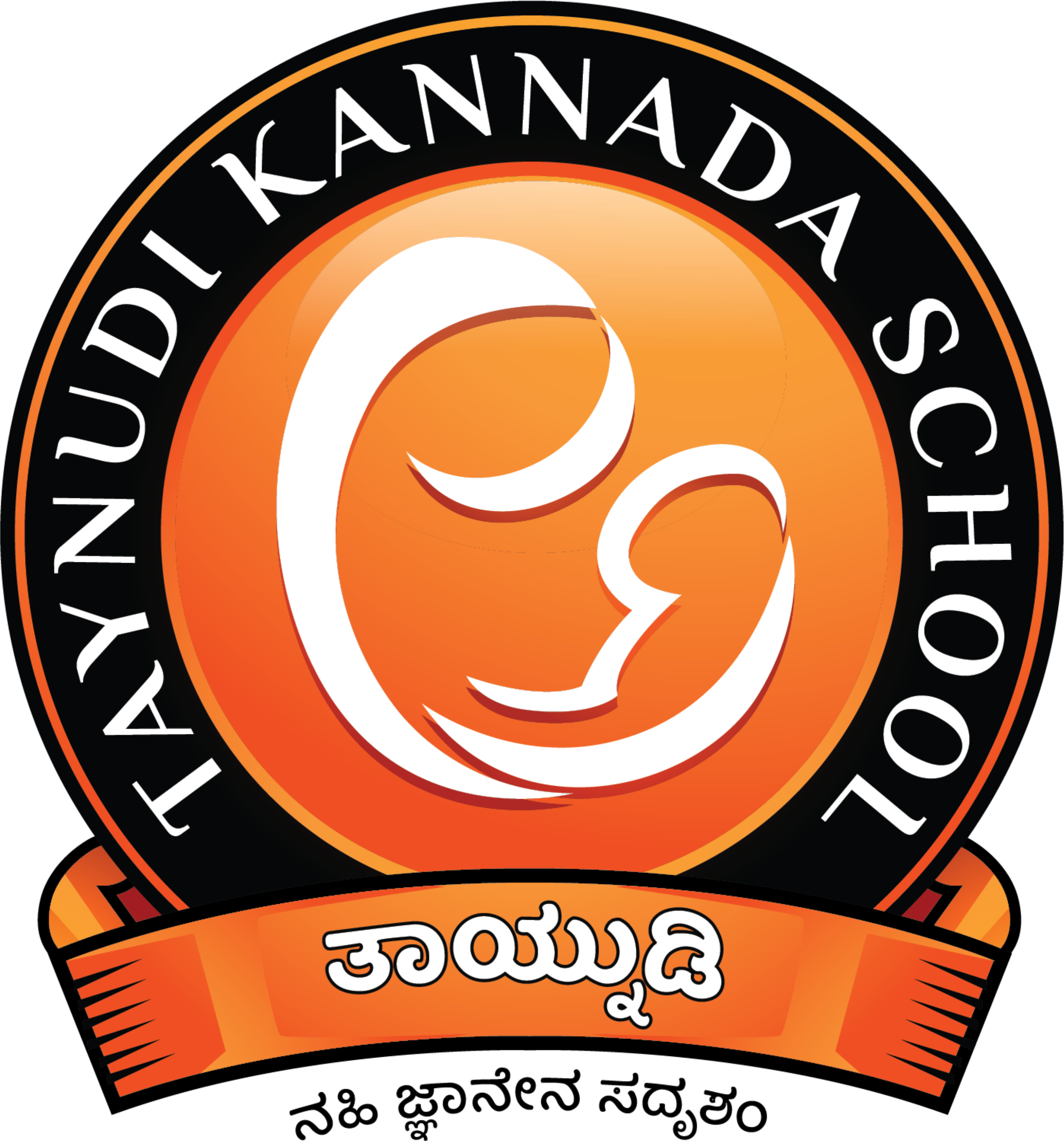Taynudi logo